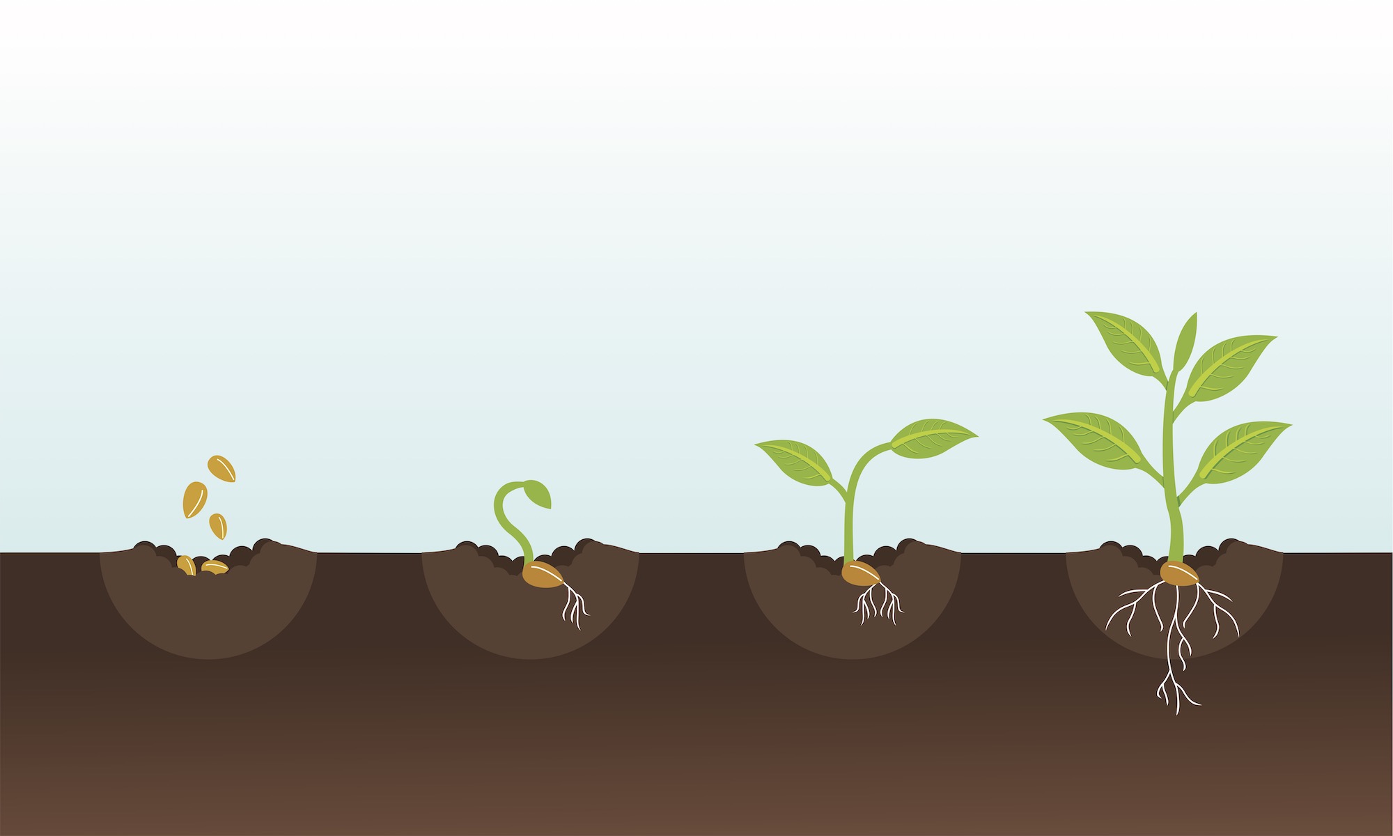 Gardening Your Twitter: Growing Your Followers